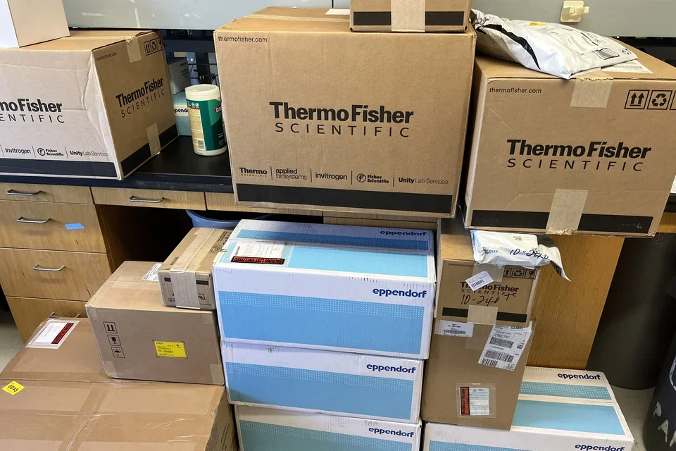 Varies boxes from ThermoFisher and Eppendorf. 