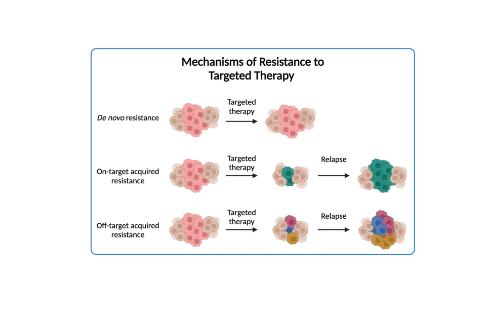 Mechanisms of resistance to targeted therapies. De novo resistance to targeted therapy. On-target acquired resistance to targeted therapy to relapse. Off-target acquired resistance to targeted therapy to relapse. 