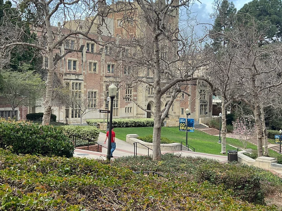 Back of Ackerman Hall behind trees. 