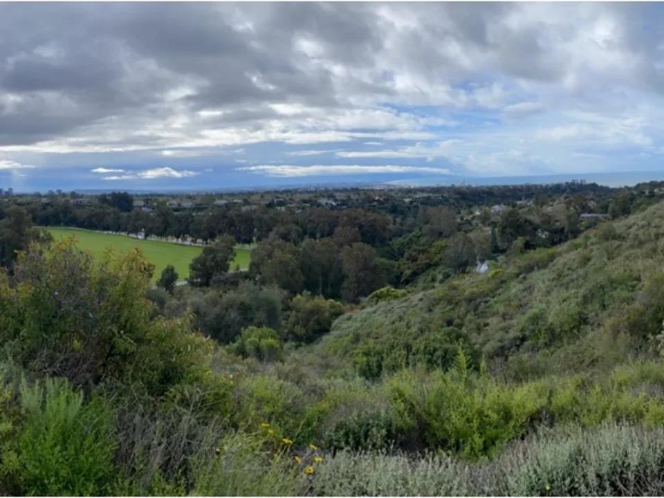 Green hills of Will Rogers State Park on a sunny day. 